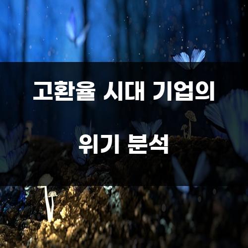 고환율 시대 기업의 위기 분석