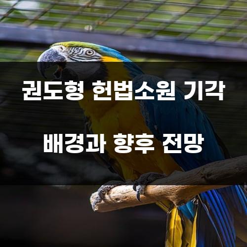 권도형 헌법소원 기각 배경과 향후 전망