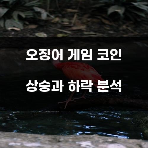 오징어 게임 코인 상승과 하락 분석