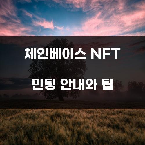 체인베이스 NFT 민팅 안내와 팁