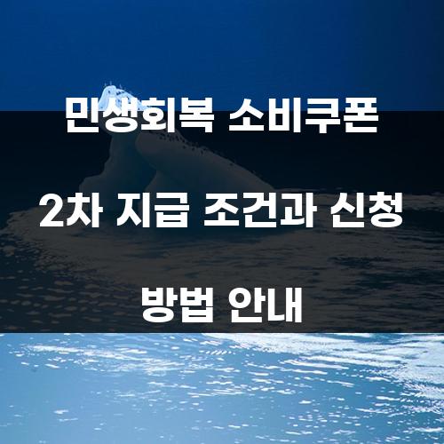 민생회복 소비쿠폰 2차 지급 조건과 신청 방법 안내